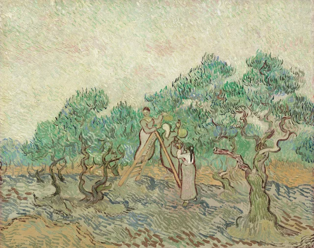 La recolección de las aceitunas, Vincent van Gogh