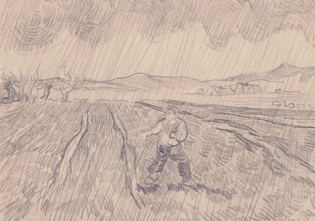 雨