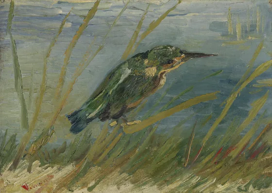 Le Martin-pêcheur