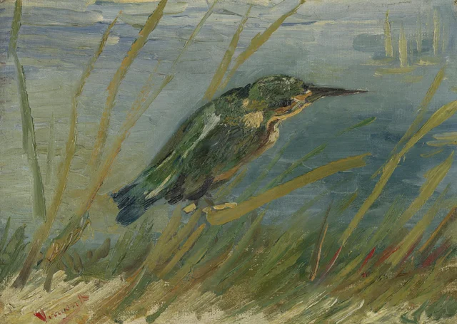 El martín pescador