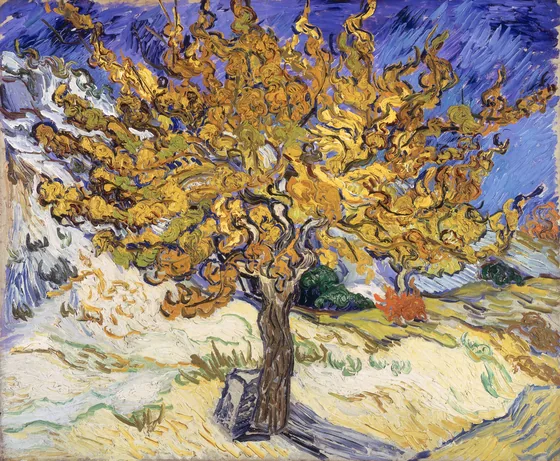Le Mûrier