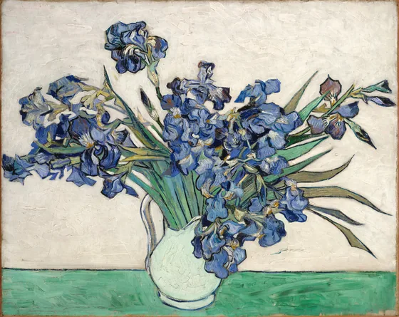 Les Iris