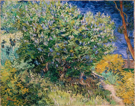 Lilas