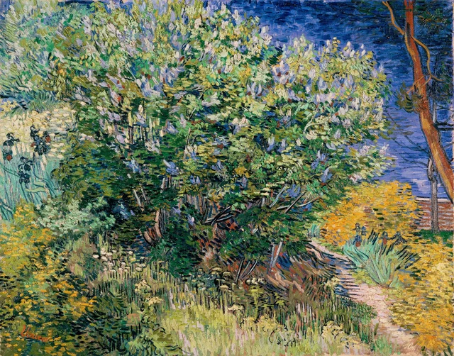 Lilas