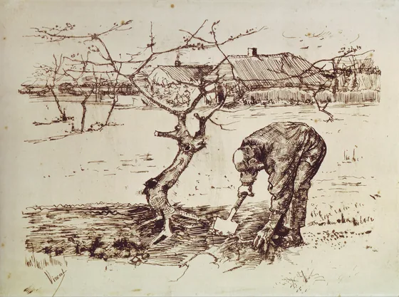 Man Digging in the Orchard