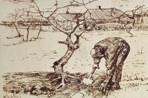Man Digging in the Orchard