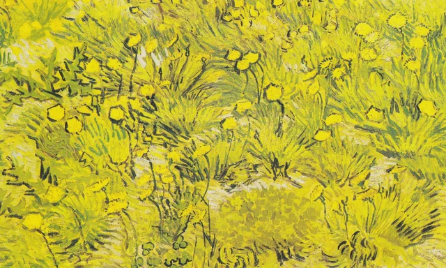 Prado con flores amarillas, Vincent van Gogh