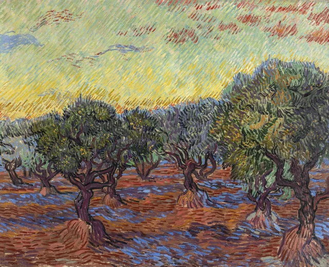 Olivar, Saint-Rémy
