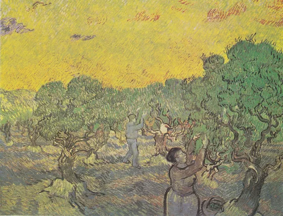Olive Grove with Picking Figures