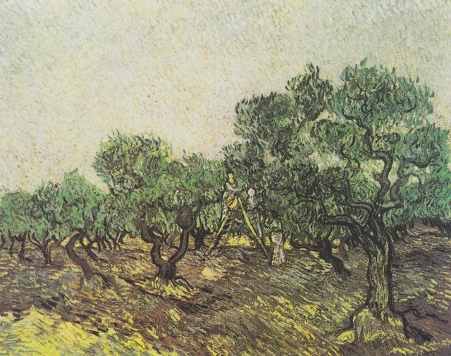 La recolección de las aceitunas, Vincent van Gogh