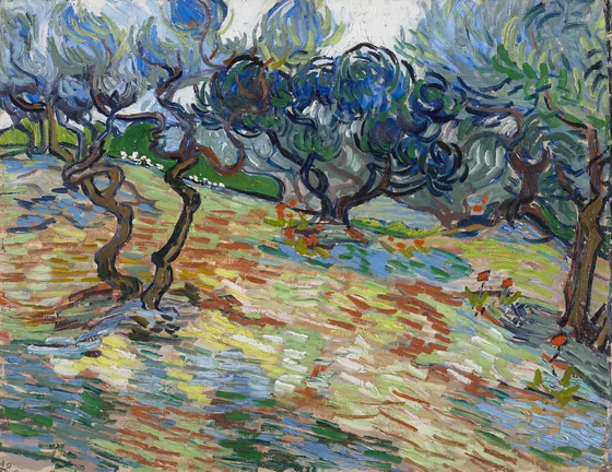 Olive trees