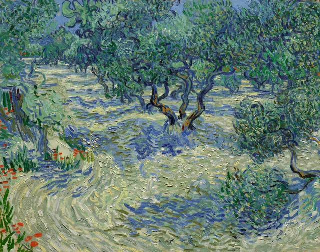 Olivar