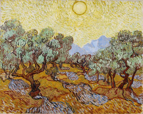 Oliviers avec ciel jaune et soleil