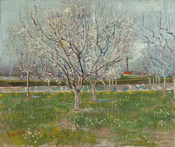 Orchard in Blossom