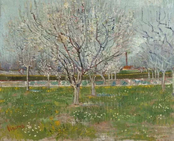 Orchard in Blossom