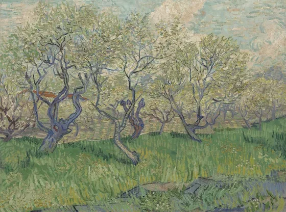Orchard in Blossom