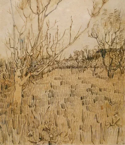 Orchard with Arles in the Background