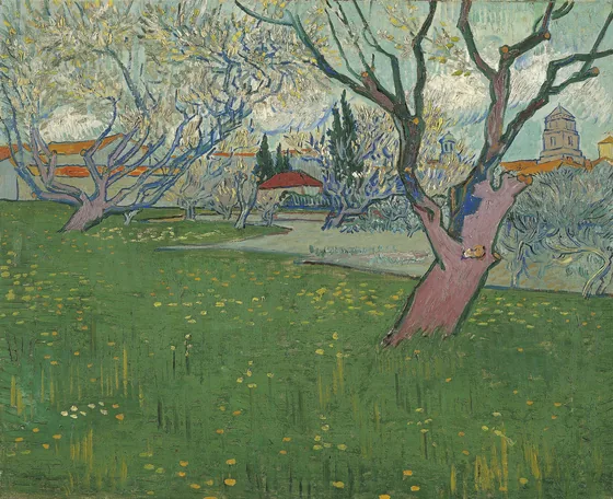 Orchards in blossom, view of Arles