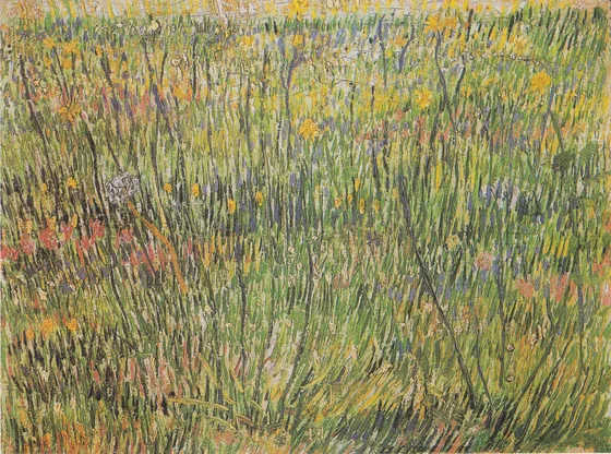 Pasture in Bloom