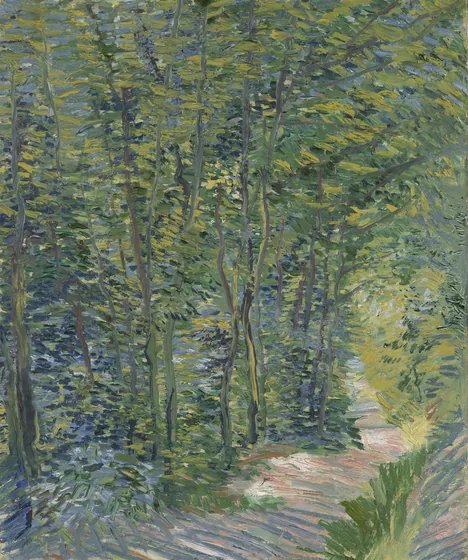Path in the Woods