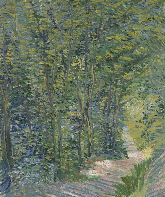 Camino en el bosque
