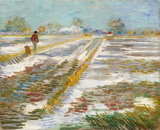 Paysage enneigé