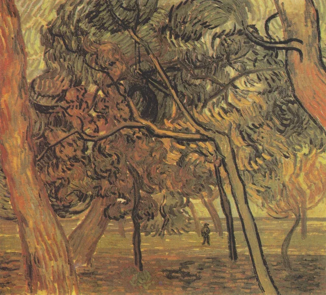 Pinos en el jardín del asilo