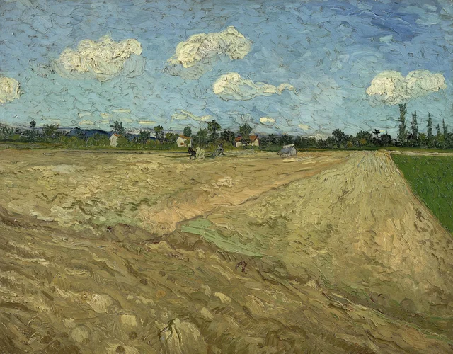 Campos labrados