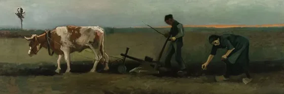 Potato Planting