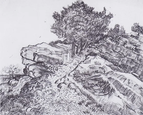 Rock-hill with trees: Montmajour