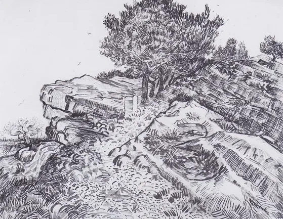 Rock-hill with trees: Montmajour