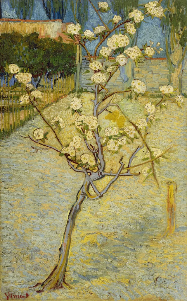 Peral pequeño en flor