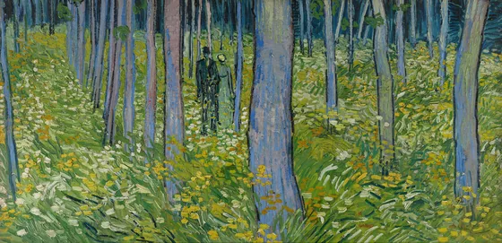 Sous-bois