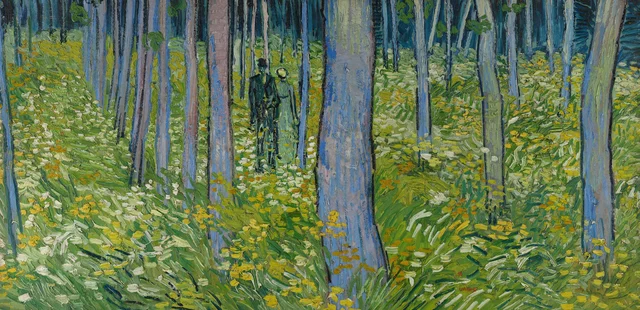 Sotobosque