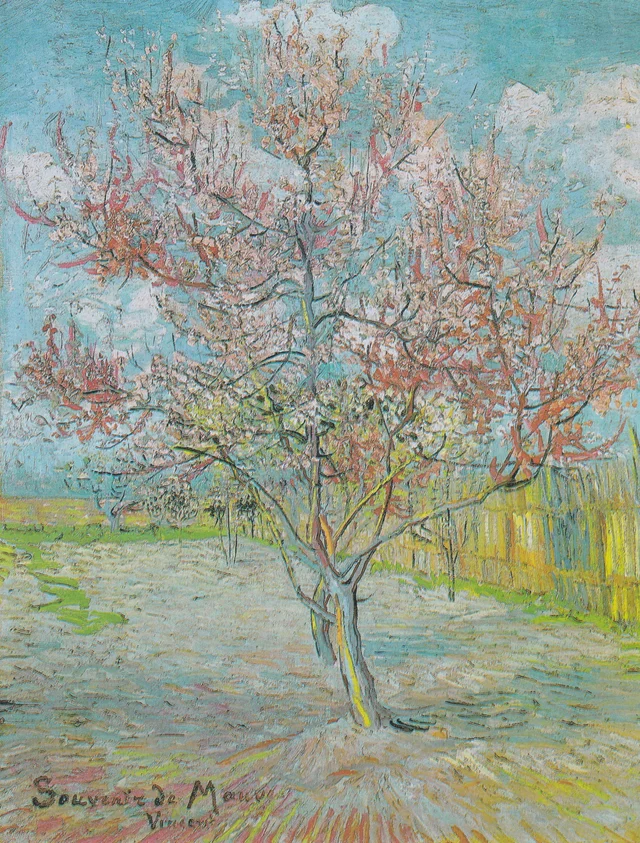 Recuerdo de Mauve