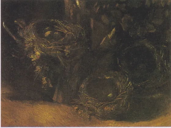Still Life with Three Birds' Nests