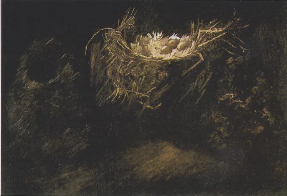 Still Life with Three Birds' Nests