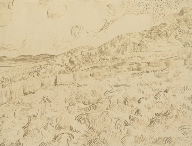 El campo de trigo cercado tras la tormenta