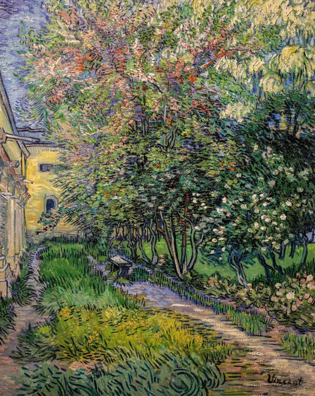 The garden at the asylum at Saint-Rémy