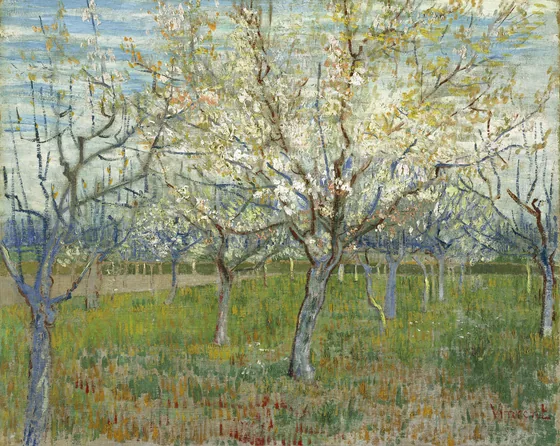 The pink orchard