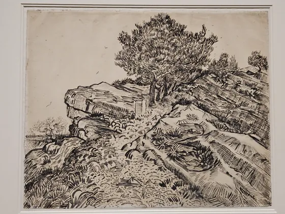 The Rock of Montmajour with Pine Trees