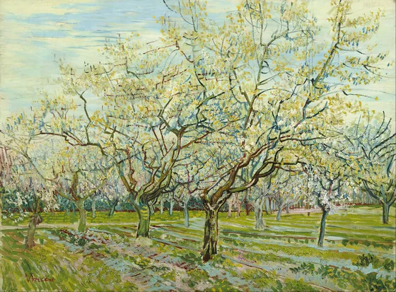The white orchard