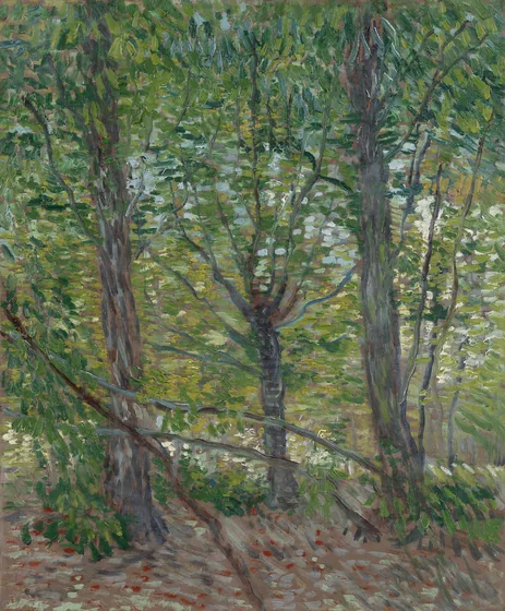 Trees