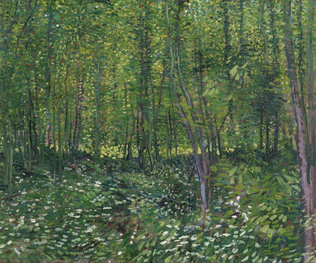 Árboles y sotobosque