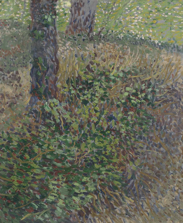Sotobosque