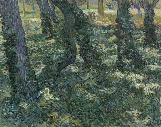 Undergrowth