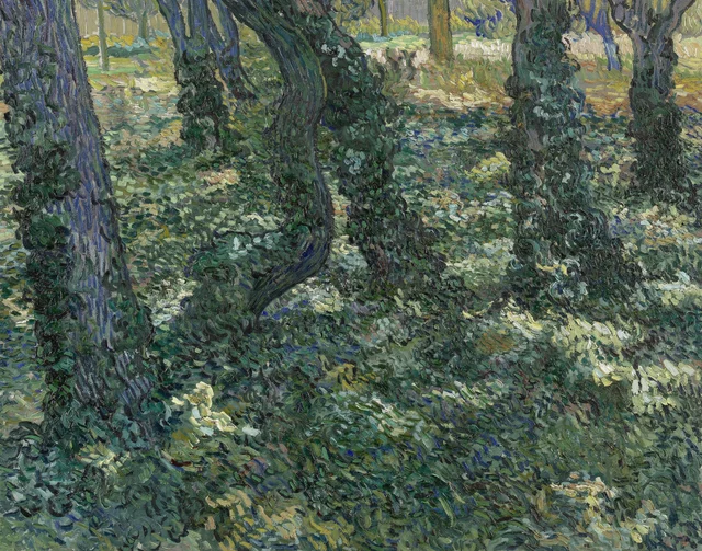 Sotobosque