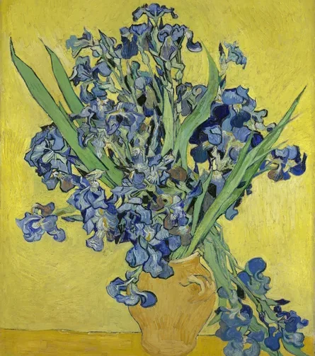 Vase d'iris