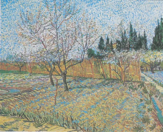Verger avec cyprès