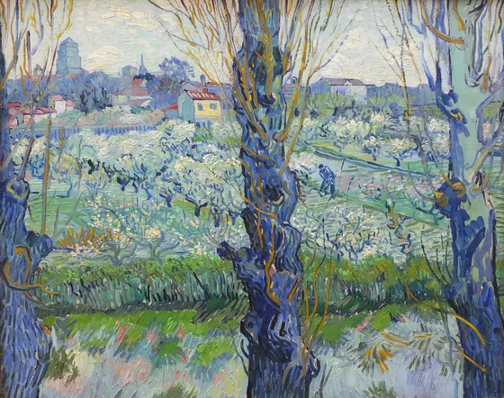 Verger en fleur avec vue d'Arles